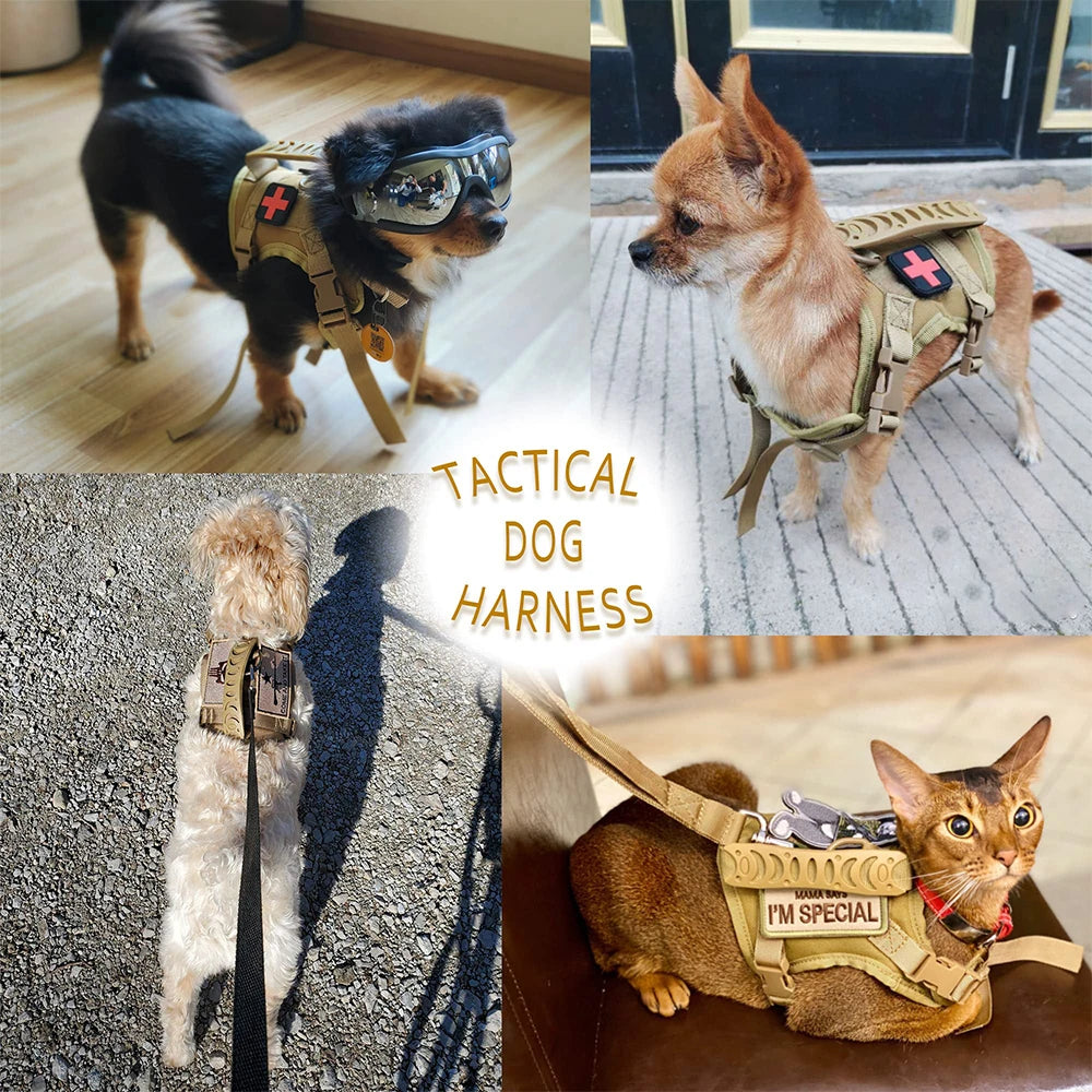 PETRAVEL Tactical Puppy Harness Leash Set For Small Dogs Cats