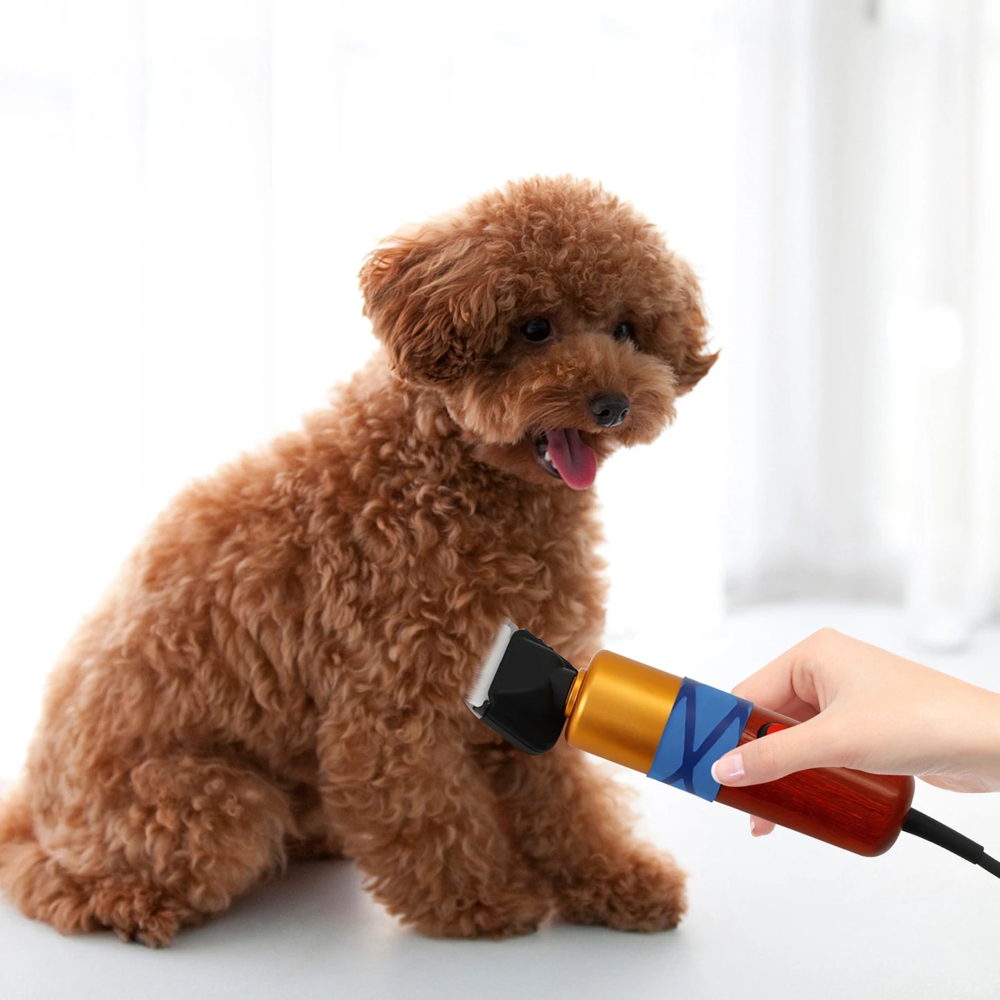 Pet Hair Clipper Low Noise Professional Electric Variable Speed