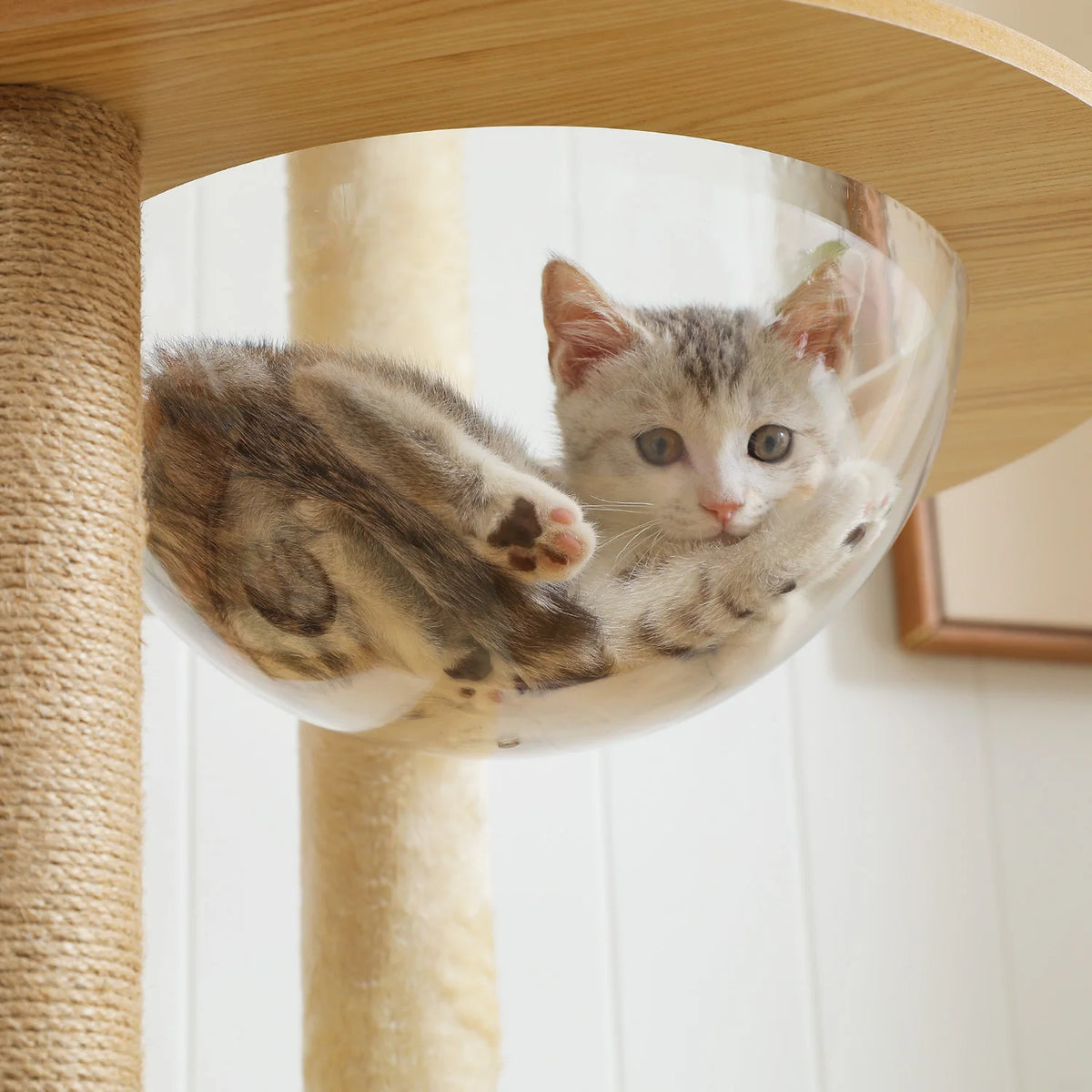 PAWZ Ro Multi Level Cat Tree Condo Hammock Scratching Posts