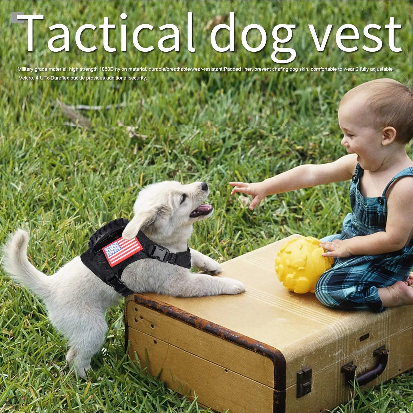 PETRAVEL Tactical Puppy Harness Leash Set For Small Dogs Cats
