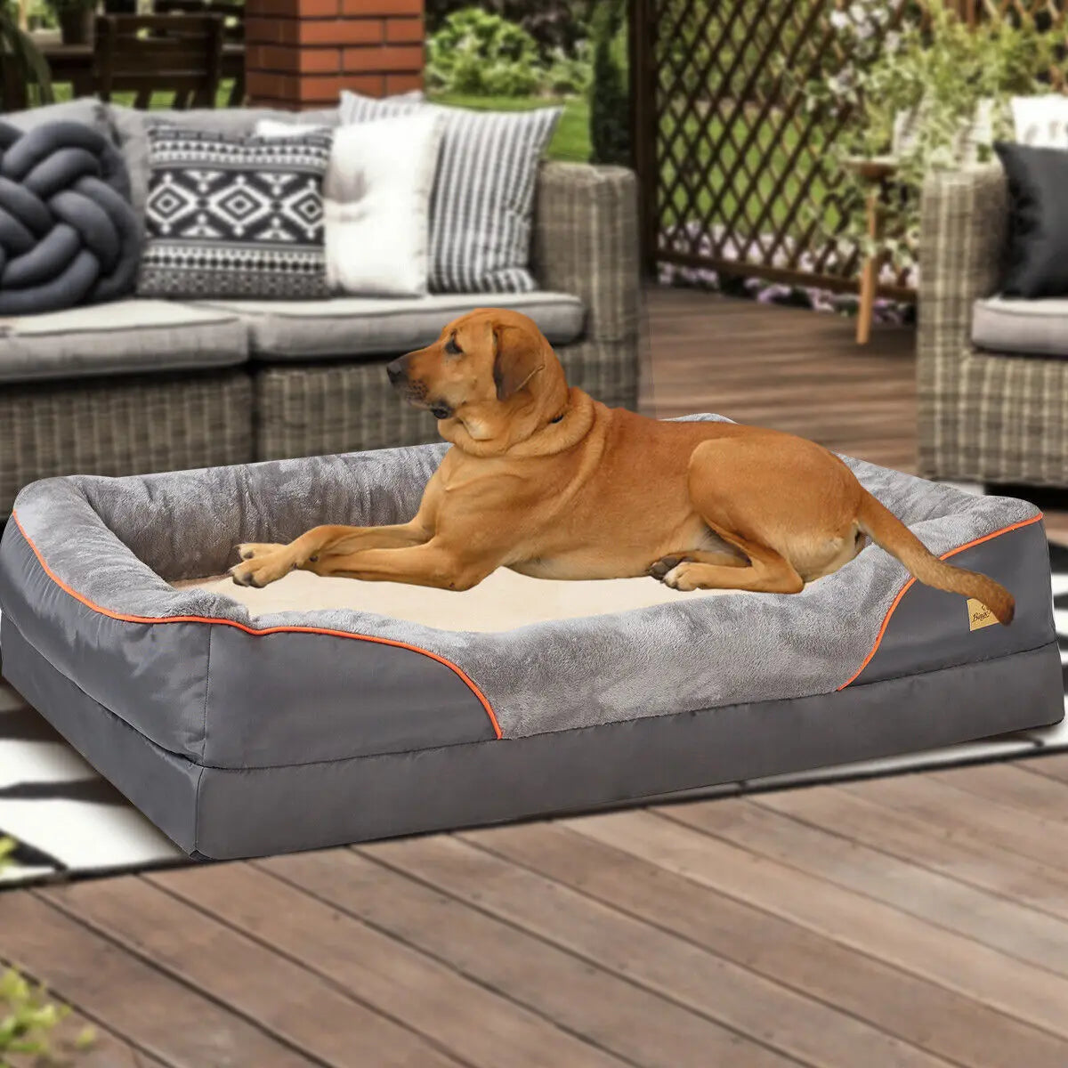 Bingopaw Jumbo Orthopedic Memory Foam Dog Bed With Waterproof Mattress