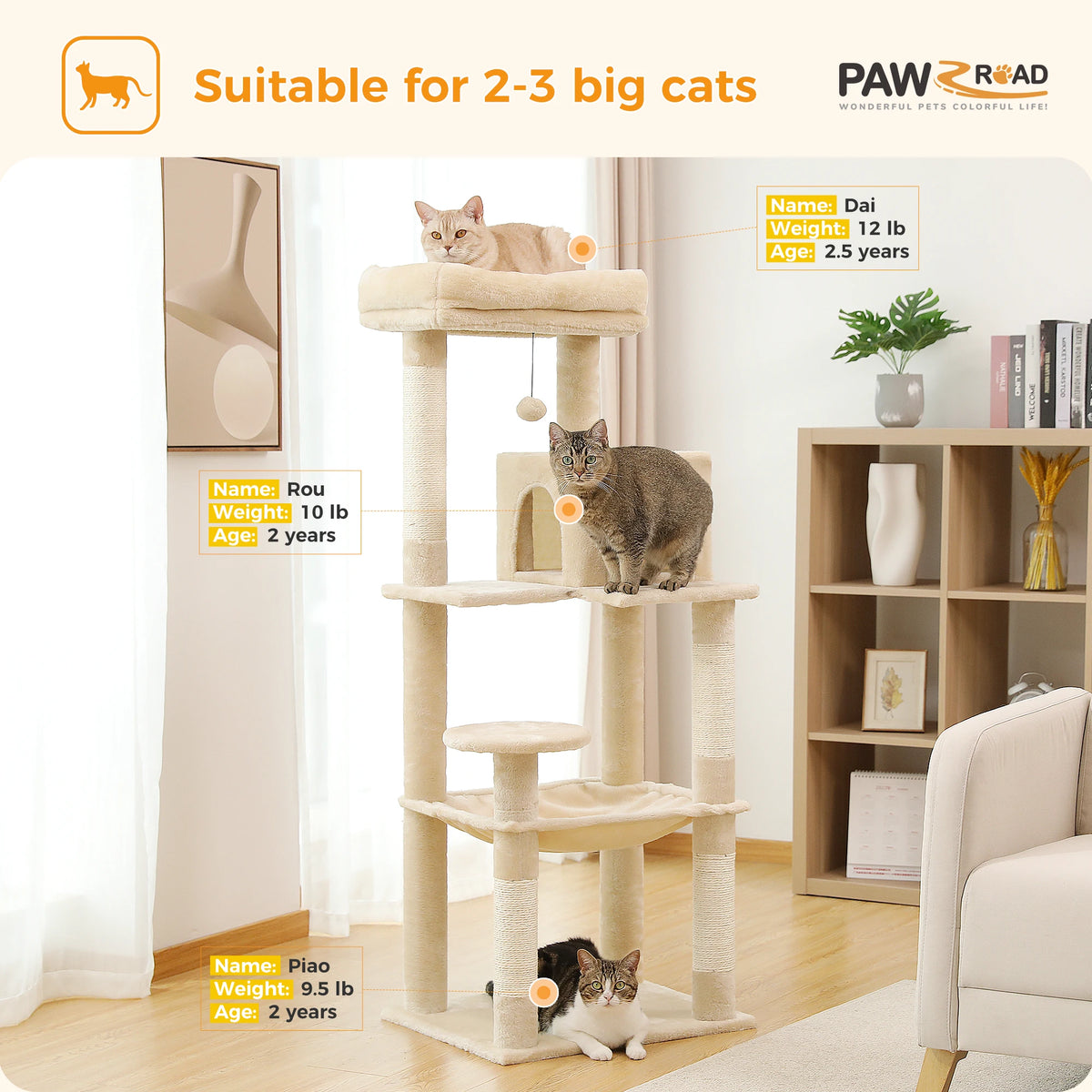 PAWZ Road Cat Tree with Hammock Condo and Scratching Posts