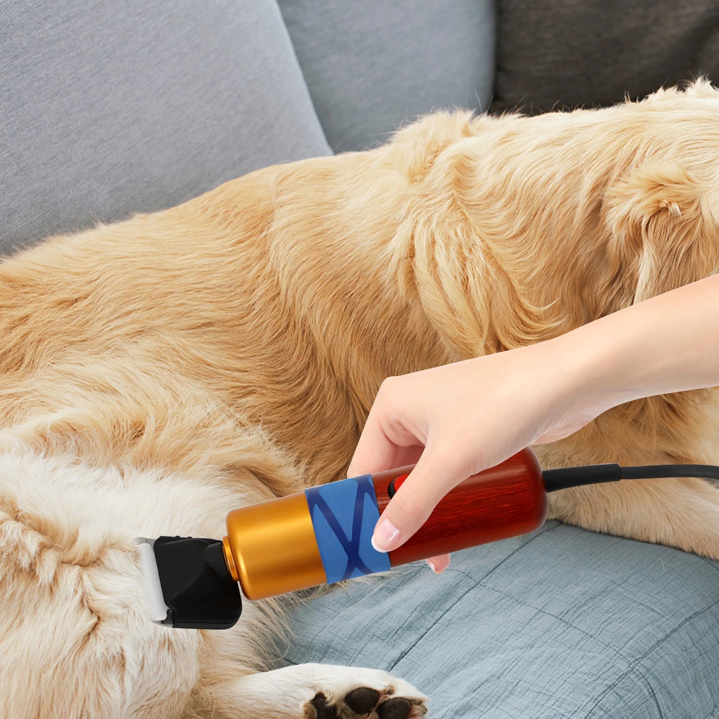 Pet Hair Clipper Low Noise Professional Electric Variable Speed