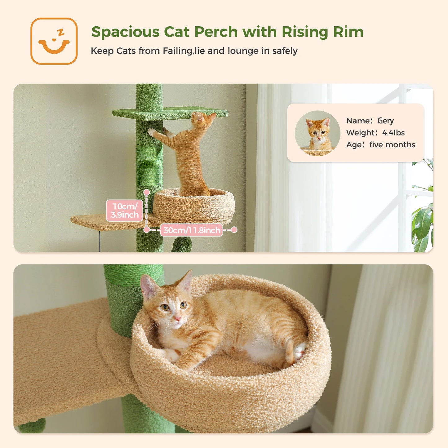 PEQULTI Cactus Cat Tree Tower For Indoor Cats Scratching Post
