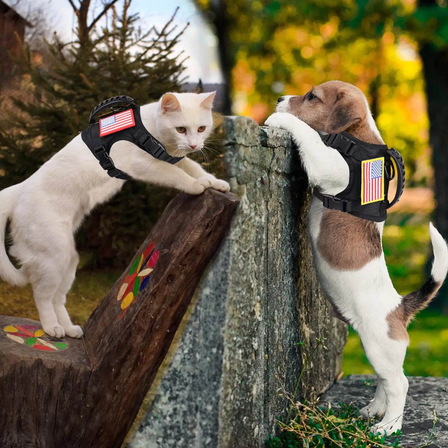 PETRAVEL Tactical Puppy Harness Leash Set For Small Dogs Cats